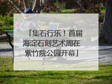 集石行乐！首届海淀石刻艺术周在紫竹院公园开幕