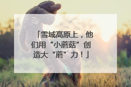雪域高原上，他们用“小蘑菇”创造大“蘑”力！