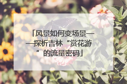 风景如何变场景——探析吉林“赏花游”的流量密码
