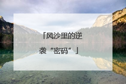 风沙里的逆袭“密码”