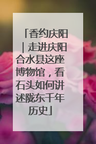 香约庆阳｜走进庆阳合水县这座博物馆，看石头如何讲述陇东千年历史