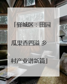 驿城区：田园瓜果香四溢 乡村产业谱新篇