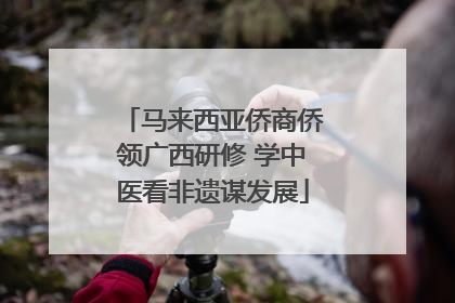 马来西亚侨商侨领广西研修 学中医看非遗谋发展