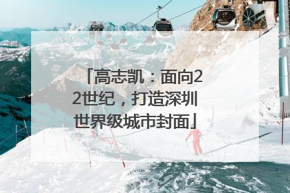 高志凯：面向22世纪，打造深圳世界级城市封面
