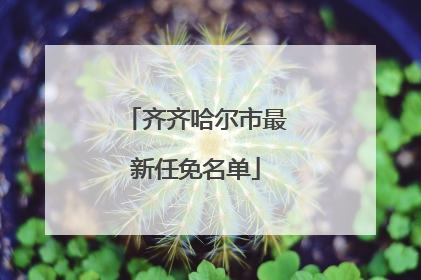 齐齐哈尔市最新任免名单