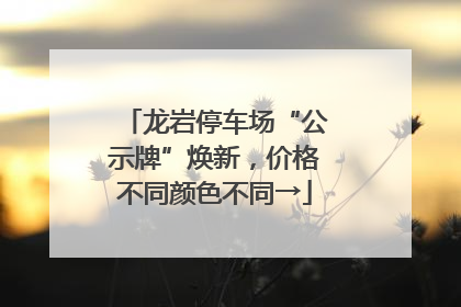 龙岩停车场“公示牌”焕新，价格不同颜色不同→
