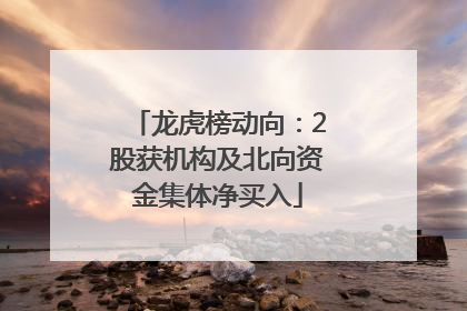 龙虎榜动向：2股获机构及北向资金集体净买入