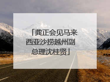 龚正会见马来西亚沙捞越州副总理沈桂贤