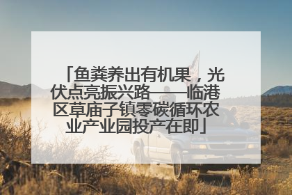 鱼粪养出有机果，光伏点亮振兴路——临港区草庙子镇零碳循环农业产业园投产在即