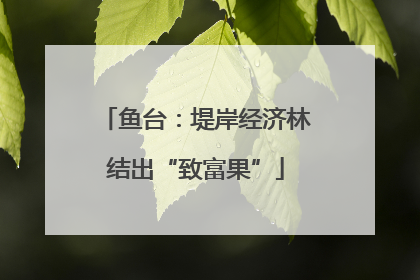 鱼台：堤岸经济林结出“致富果”