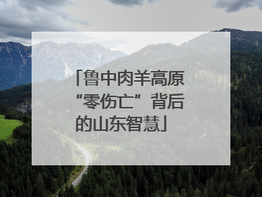 鲁中肉羊高原“零伤亡”背后的山东智慧
