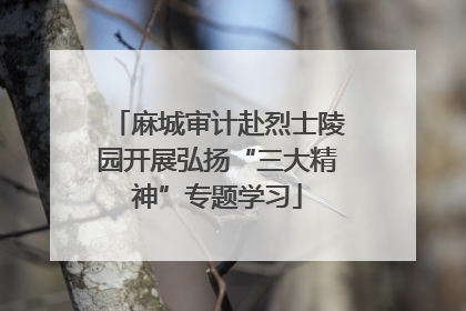 麻城审计赴烈士陵园开展弘扬“三大精神”专题学习
