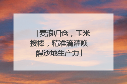麦浪归仓，玉米接棒，精准滴灌唤醒沙地生产力