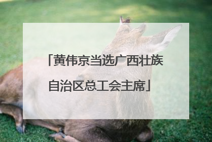 黄伟京当选广西壮族自治区总工会主席