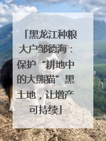 黑龙江种粮大户邹德海：保护“耕地中的大熊猫”黑土地，让增产可持续
