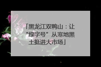 黑龙江双鸭山：让“绿字号”从寒地黑土挺进大市场