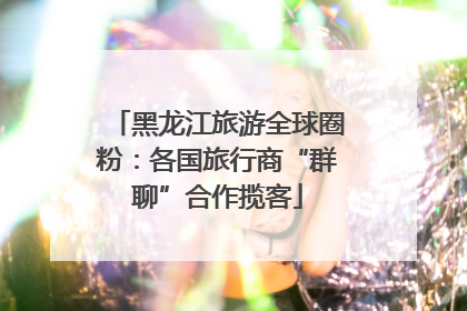 黑龙江旅游全球圈粉：各国旅行商“群聊”合作揽客