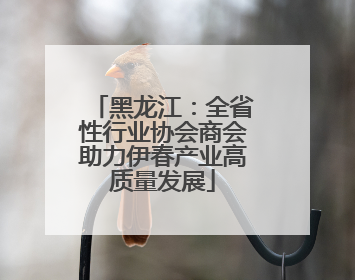 黑龙江：全省性行业协会商会助力伊春产业高质量发展