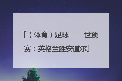 （体育）足球——世预赛：英格兰胜安道尔