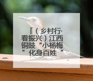（乡村行·看振兴）江西铜鼓“小杨梅”化身百姓“致富果”