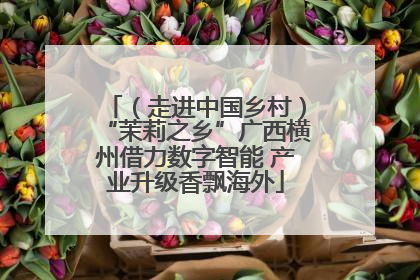 （走进中国乡村）“茉莉之乡”广西横州借力数字智能 产业升级香飘海外