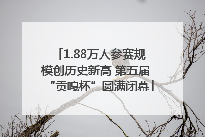 1.88万人参赛规模创历史新高 第五届“贡嘎杯”圆满闭幕
