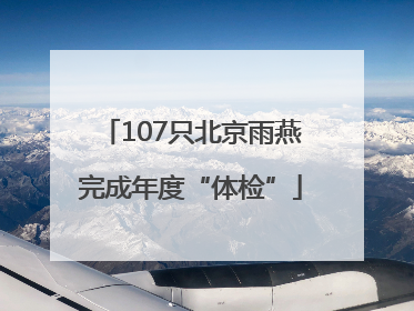 107只北京雨燕完成年度“体检”