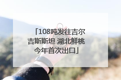 108吨发往吉尔吉斯斯坦 湖北鲜桃今年首次出口