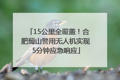 15公里全覆盖！合肥蜀山警用无人机实现5分钟应急响应