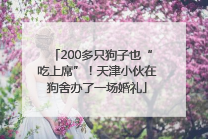 200多只狗子也“吃上席”！天津小伙在狗舍办了一场婚礼