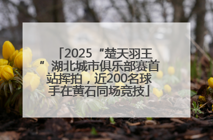 2025“楚天羽王”湖北城市俱乐部赛首站挥拍，近200名球手在黄石同场竞技