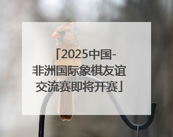 2025中国-非洲国际象棋友谊交流赛即将开赛