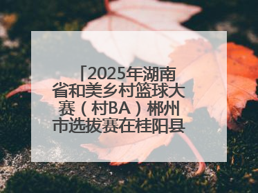 2025年湖南省和美乡村篮球大赛（村BA）郴州市选拔赛在桂阳县火热开赛