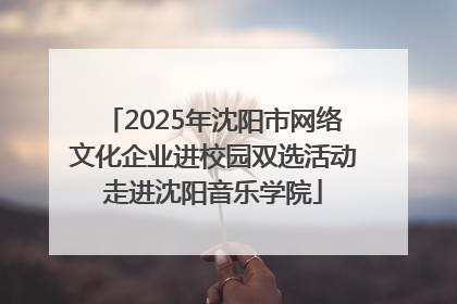 2025年沈阳市网络文化企业进校园双选活动走进沈阳音乐学院