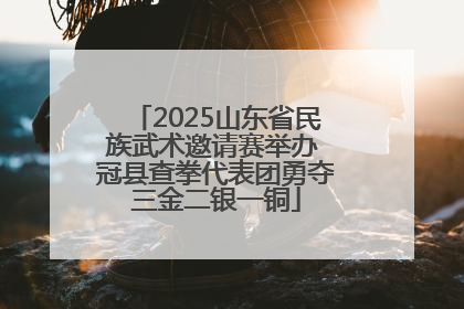 2025山东省民族武术邀请赛举办 冠县查拳代表团勇夺三金二银一铜