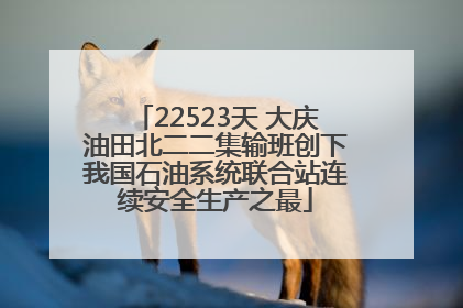 22523天 大庆油田北二二集输班创下我国石油系统联合站连续安全生产之最