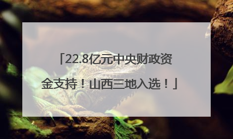 22.8亿元中央财政资金支持！山西三地入选！
