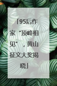 95后作家“顶峰相见”，黄山征文大奖揭晓