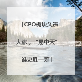 CPO板块久违大涨，“易中天”谁更胜一筹
