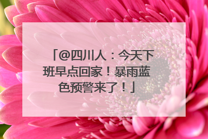 @四川人：今天下班早点回家！暴雨蓝色预警来了！