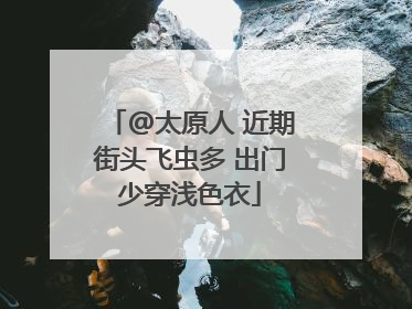 @太原人 近期街头飞虫多 出门少穿浅色衣