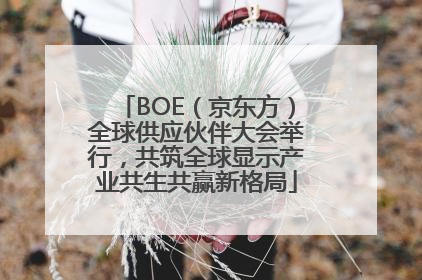 BOE（京东方）全球供应伙伴大会举行，共筑全球显示产业共生共赢新格局
